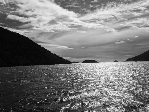 where the sound meets the Tasman Sea