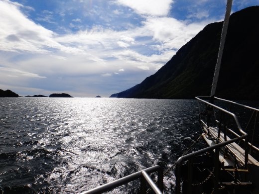 where the sound meets the Tasman Sea