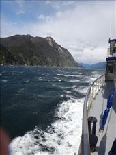 by capecodkiwi, Views[314]