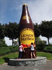 by capecodkiwi, Views[220]