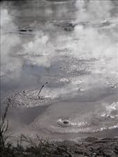 mud pools: by capecodkiwi, Views[186]