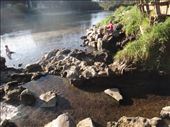 Thermal Hot Stream: by capecodkiwi, Views[187]