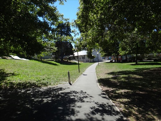 Aro valley park across from my flat
