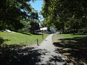 Aro valley park across from my flat: by capecodkiwi, Views[488]