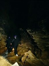 by capecodkiwi, Views[210]