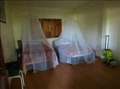 Sleeping quarters...100 degrees, no AC and mosquito nets. : by capecodkiwi, Views[176]