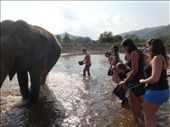 Bathing the elephants : by capecodkiwi, Views[205]