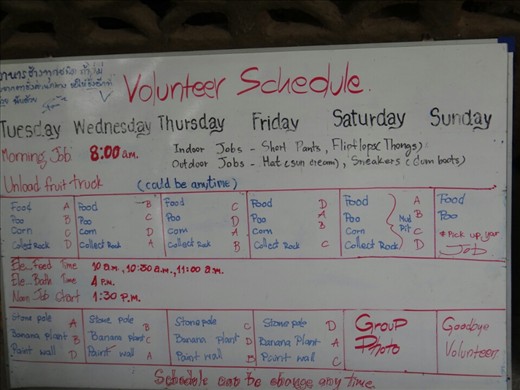 50 volunteers split up in 4 groups. I was in group D. The best group of them all!  This was our work schedule for the week. 