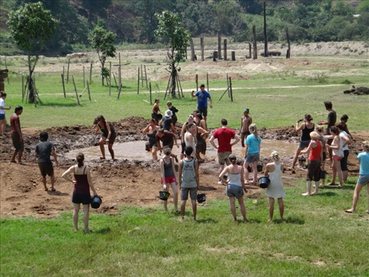 Last day of work. We needed to make a mud pit for the elephants. 