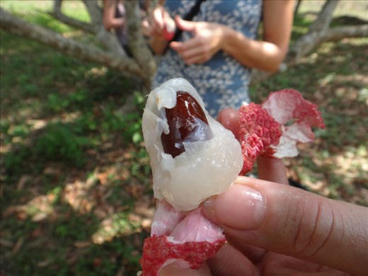 And eat around the pit. Very delicious! 
