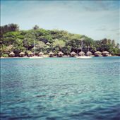 by capecodkiwi, Views[244]