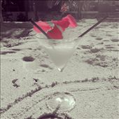 by capecodkiwi, Views[228]