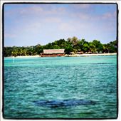 by capecodkiwi, Views[229]