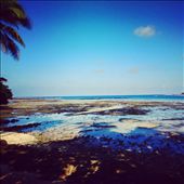 by capecodkiwi, Views[213]