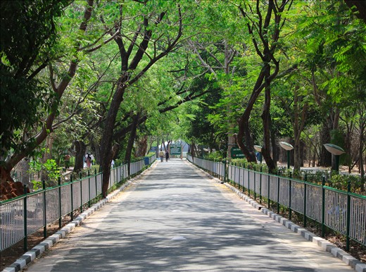 The road inside the zoo that leads to different species of animal enclosures..