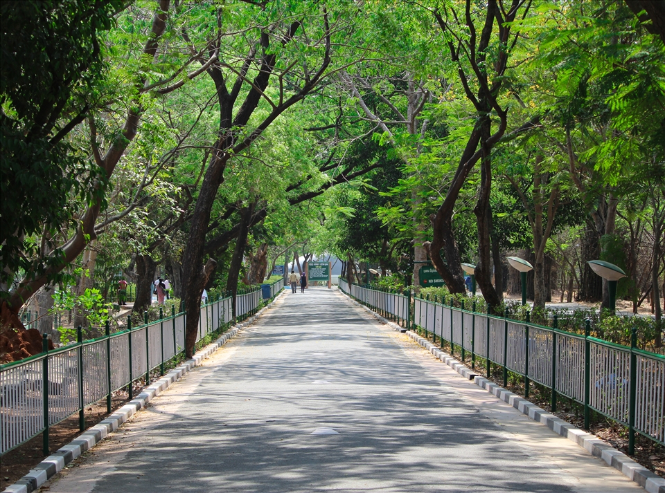 The road inside the zoo that leads to different species of animal enclosures..