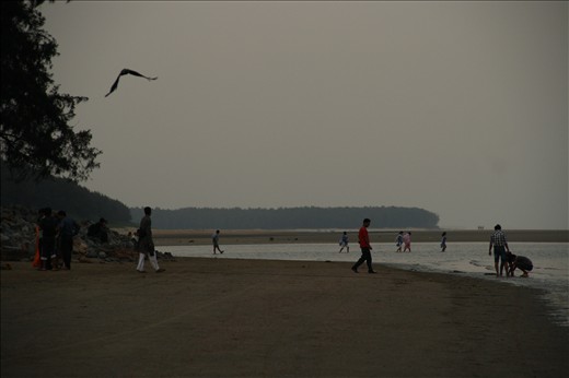 Various lives, they are all welcome. The ocean has no issues at all.