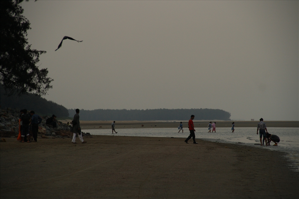 Various lives, they are all welcome. The ocean has no issues at all.