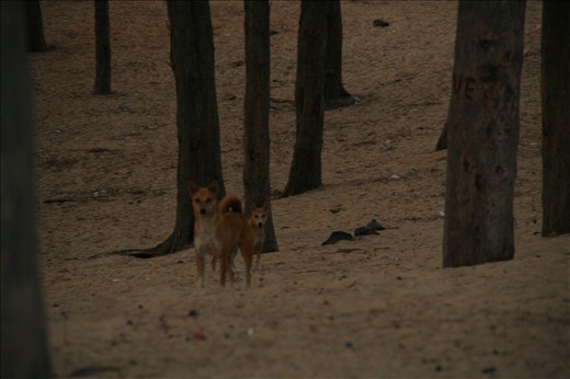 They fail to recognize their importance. They are always unassuming.