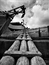 Log Step: by capturedmoment, Views[282]