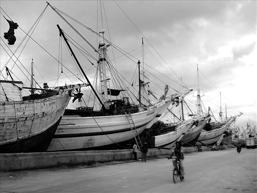 Cycling Through the Harbour