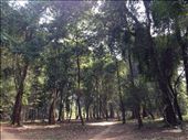 by caraadelle, Views[314]