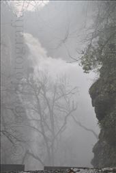 agua: by carbia, Views[208]