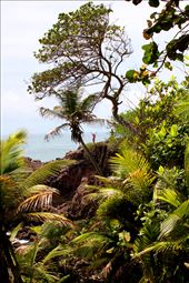 Toco: by cariwak, Views[176]