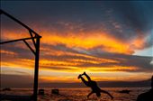 Sunset in Aqaba beach. The children had some fun diving from the structure above.: by carlomure, Views[330]