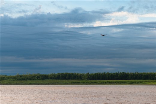 The beautiful landscape of Peru around the Ucayali river