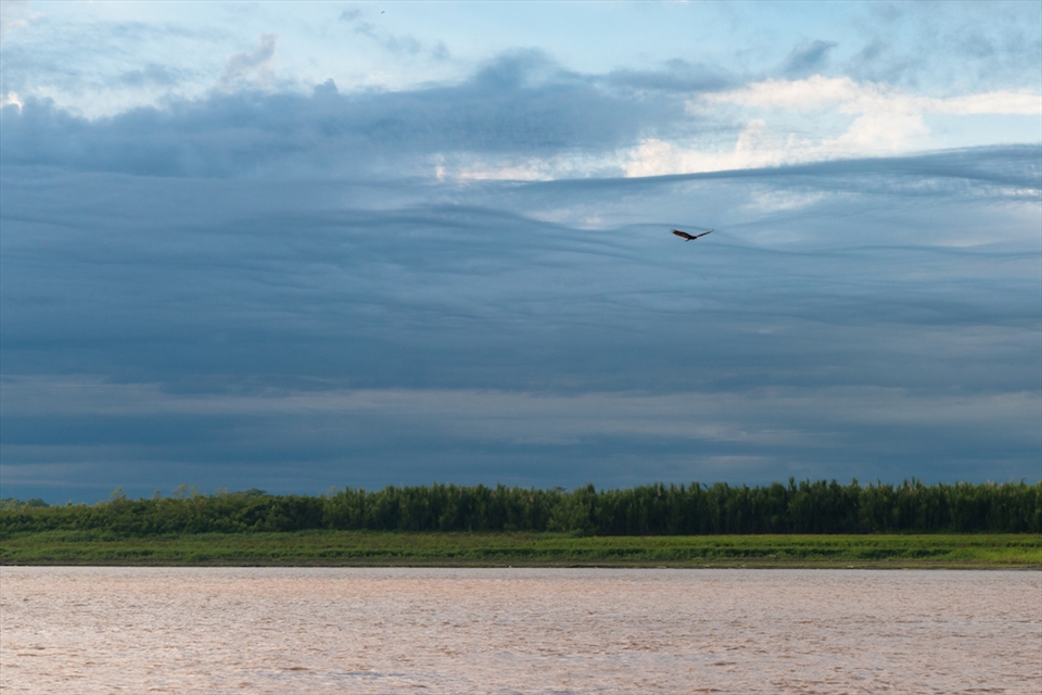 The beautiful landscape of Peru around the Ucayali river