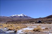 White lagoon stop, in our three-day tour to Uyuni, Bolivia: by carlotacrmartins, Views[395]