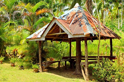 A Rest Hut made out of recycled wooden materials and used GI sheets. It is situated infront of the house.
