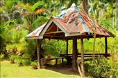 A Rest Hut made out of recycled wooden materials and used GI sheets. It is situated infront of the house.: by carlriemann, Views[746]