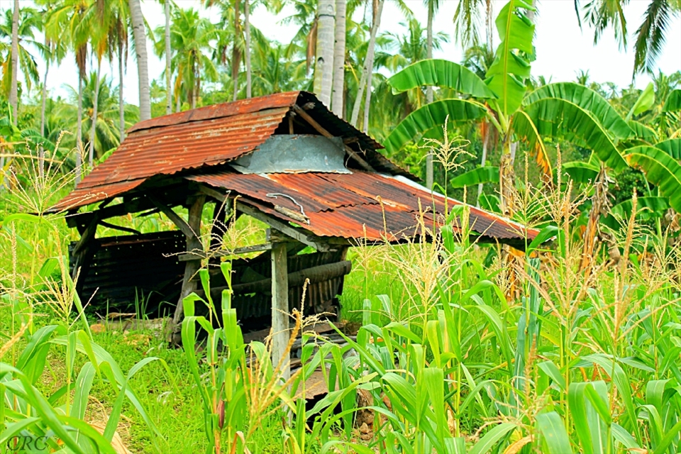 The Kiln House. This is where we would play Hide And Seek with our cousins when we were still kids. It still stands to this day.