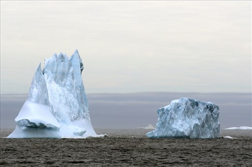 King Hakon Bay Tall Bergs