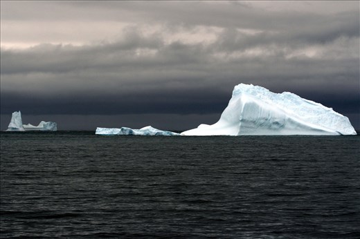 King Hakon Bay Short Bergs