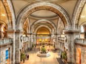 by carltonpeters, Views[342]