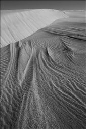 by carmel-hinks-photography, Views[293]