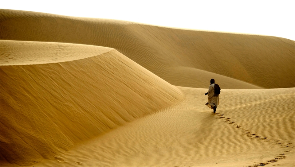 THAR DESERT.
In India you can find different environments such as the desert
