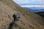 After saying our goodbyes to Mt. Pulag it was time to head back to civilization.: by carmendp, Views[313]