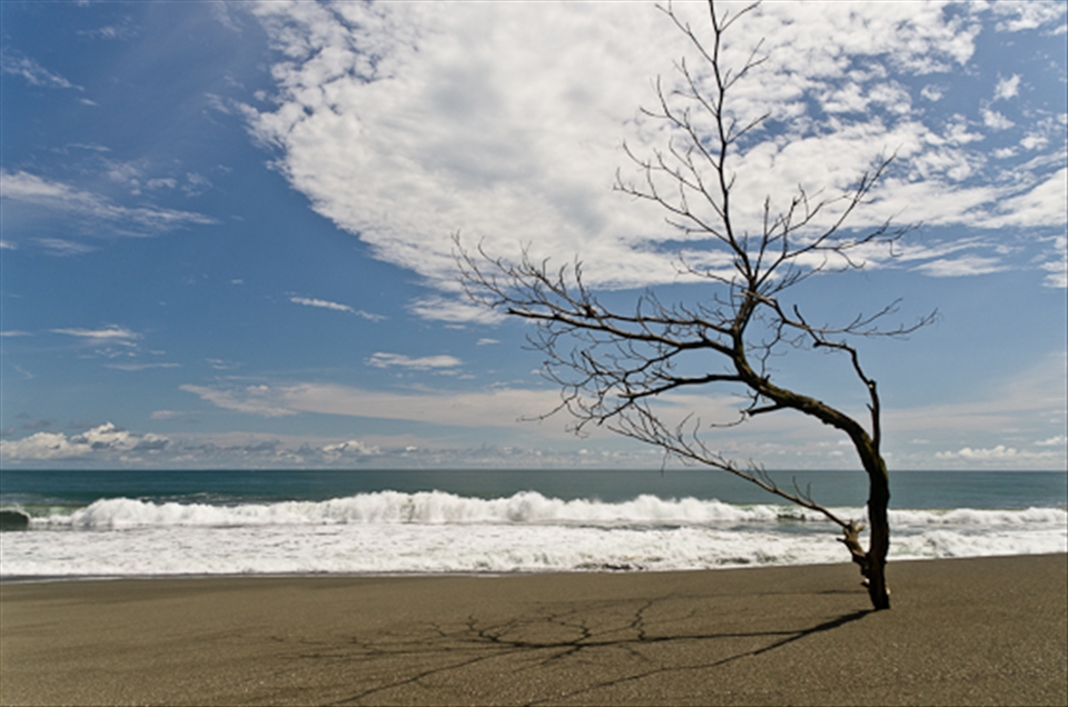Dancing in the sun, Corcovado, Costa Rica