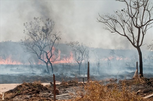 Forest fires are common during the extended drought period in the Midwest of Brazil.