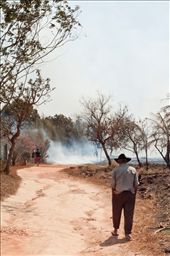 In 2010, there were 8 major fires in Distrito Federal, this one bordering the National Park of Brasilia.: by caroldegoes, Views[354]