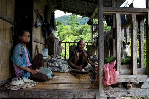 A daily family portait of a 