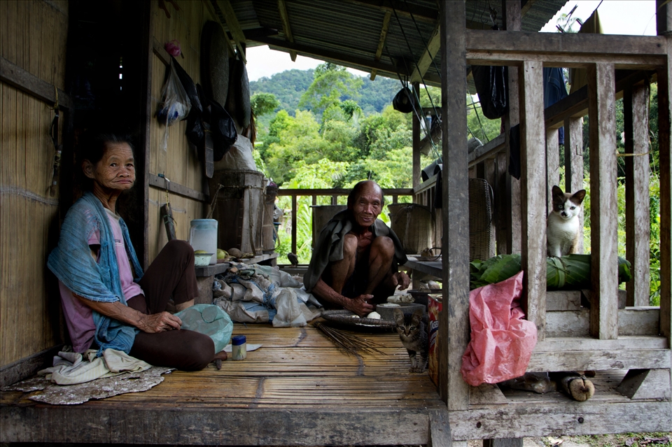 A daily family portait of a 