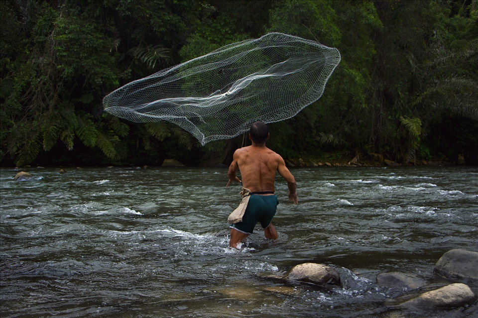 fishing works better in rainy days. Dusun fisherman from Borneo jungle.