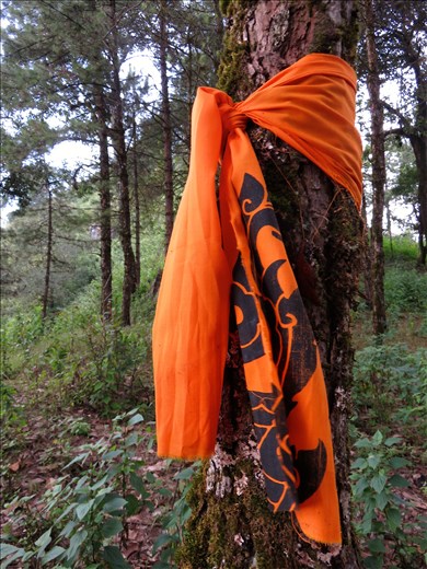 A symbol of hope. Lek Chailert reached out to Thai monks in a effort to save the forests for the declining number of elephants in Thailand. In an effort to protect these few and precious lands, Buddhist monks place sacred flags on trees to help prevent deforestation and preserve elephant natural habitats. 