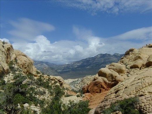 Red Rock Canyon Natural Conservation Area