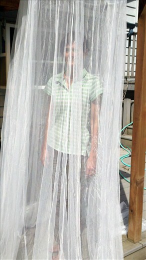 Have mosquito net, will travel!  These things are pretty AND functional!